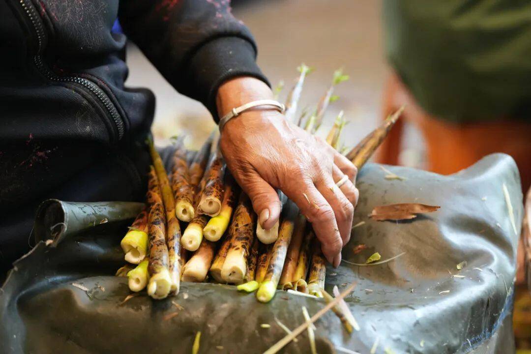 家里,一大堆鲜石笋散放在大厅,他和老婆,邻居共四人围坐一圈,正"嘶