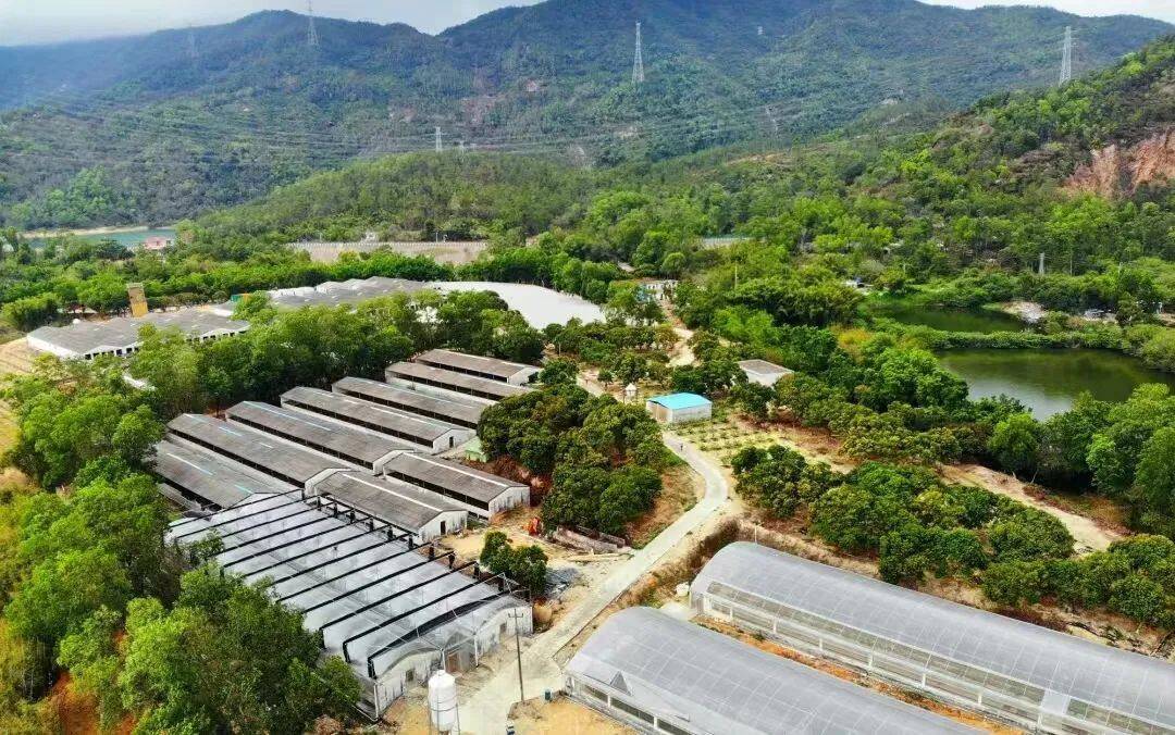 白石鸡场:靠鲜吃遍天!