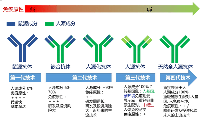 稳正研习社天然全人源单抗缘何成为单抗药物发展新趋势
