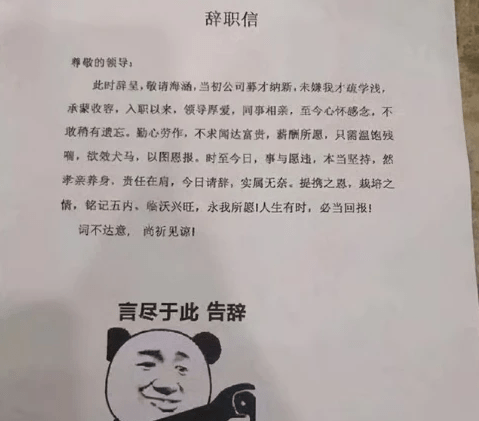 "这点钱很难帮你办事",00后大学生辞职信走红,让老板怀疑人生_工作