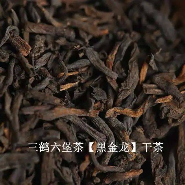 三鹤六堡茶黑金龙品鉴评测