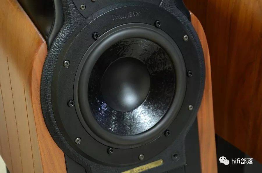 箱的巅峰之作---世霸/sonus faber extrema 火车头_faber_单元_音箱