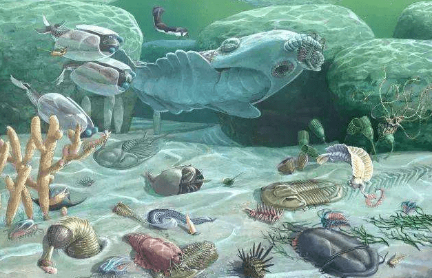 原创地底存在的神秘生物种类或许多达200万种生存不需要氧气