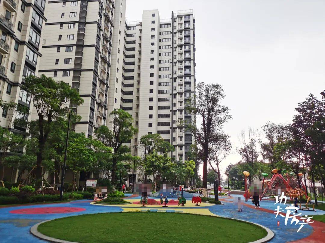 樓盤生把村小凹成名校,羅村急需新校_花園_小學_蘆塘