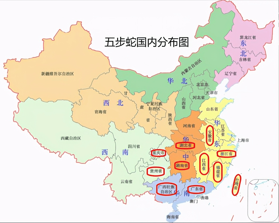 眼镜蛇_我国_银环蛇