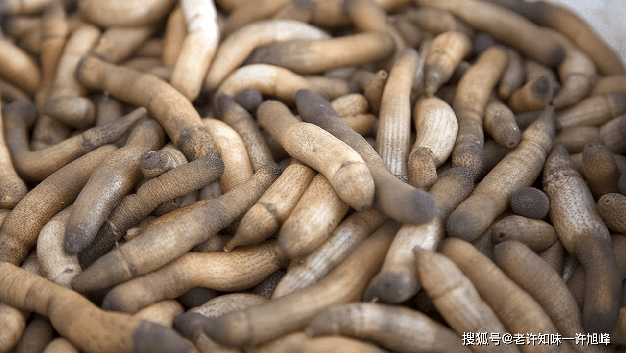 闽南q弹王——让你相见恨晚的"土笋冻"_厦门_小吃_星虫