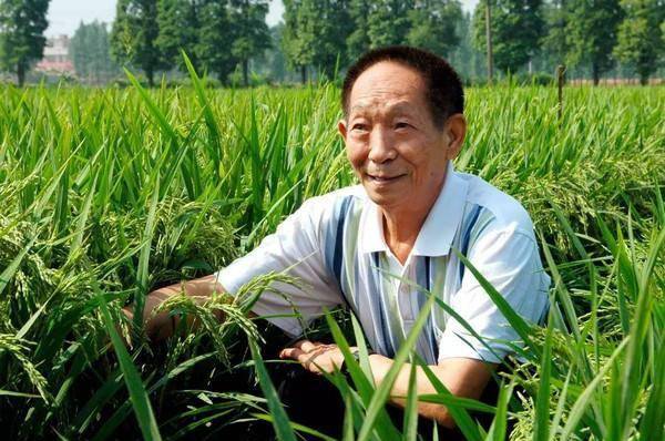 "水稻之父"袁隆平是不是"巨星"?