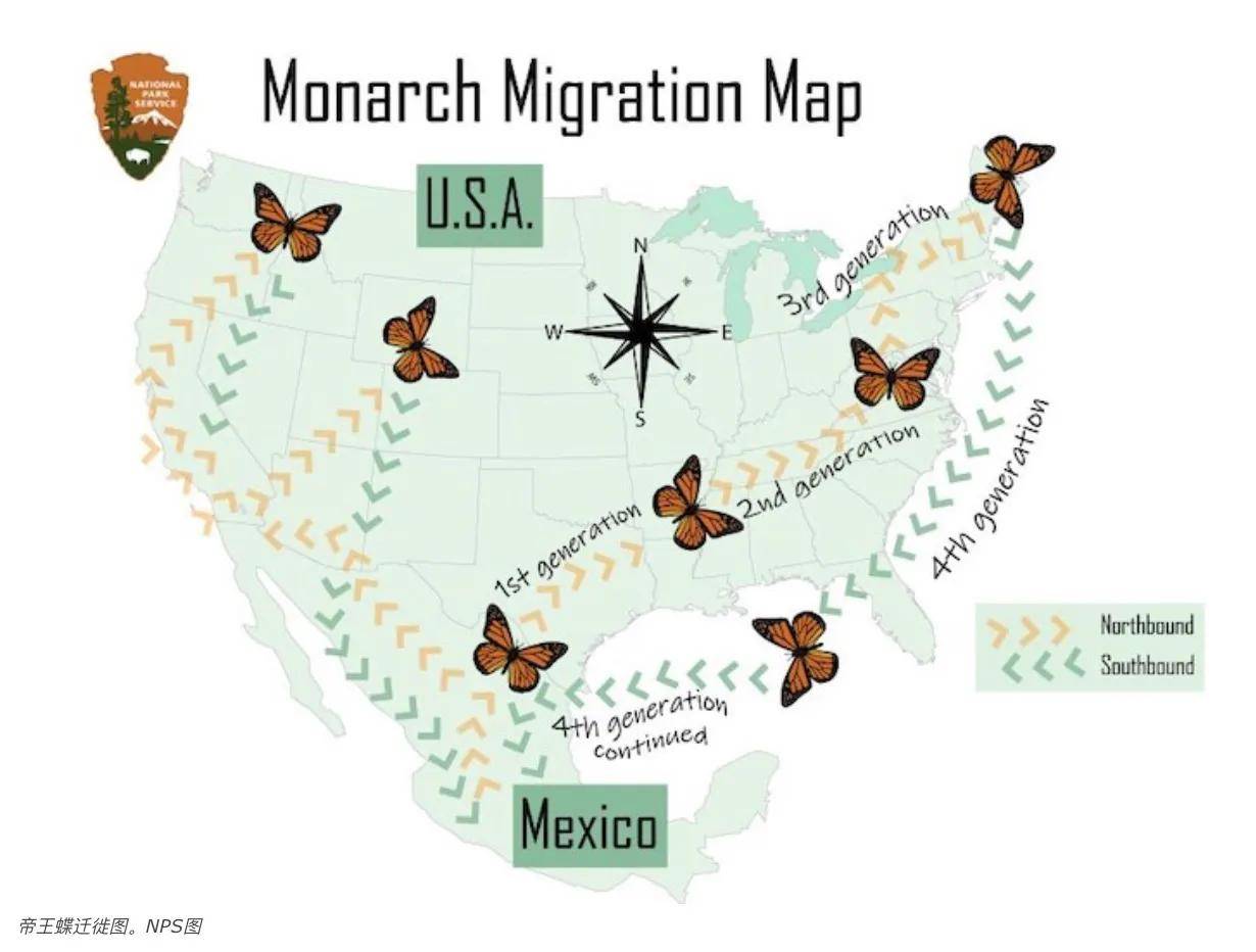 帝王蝶迁徙图.nps图