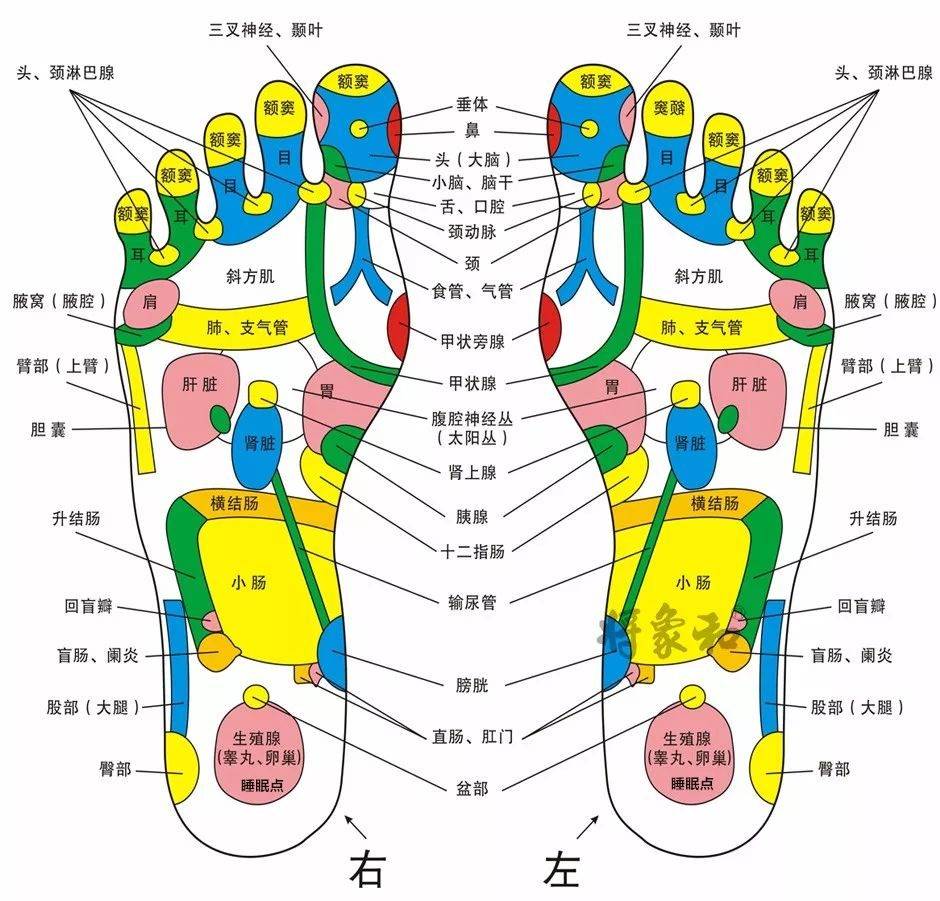 肝气不舒揉这里