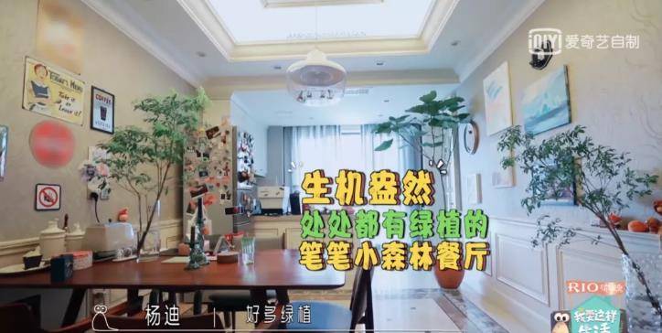 原创周笔畅北漂15年独居生活曝光比起住豪宅的明星我更爱她的生活