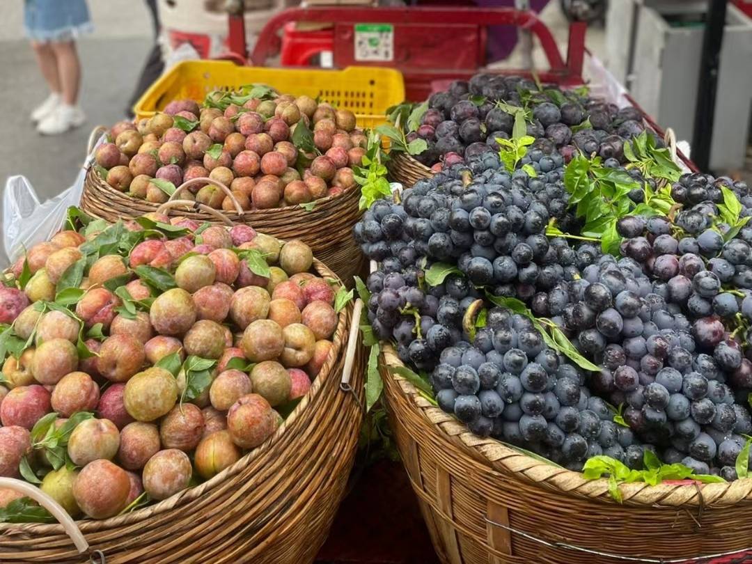 广西水果有多便宜西瓜1元1个沃柑10元8斤网友认真的吗