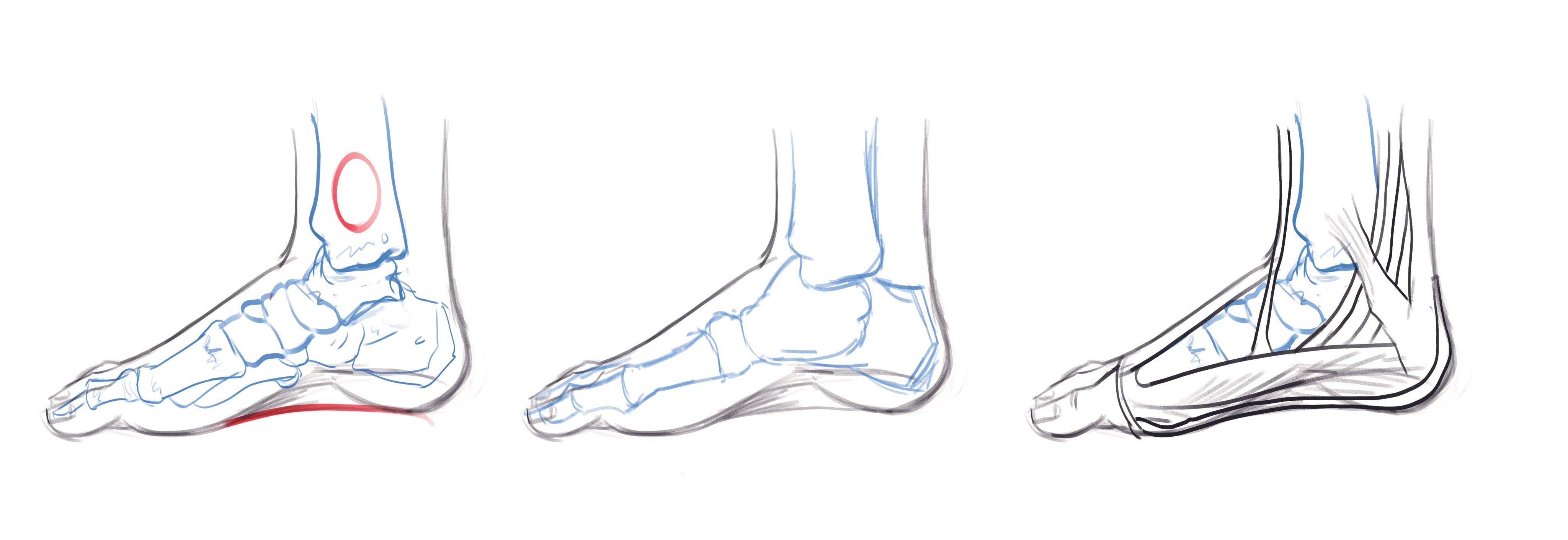 如何正确的画脚部 教你画好人物脚部的方法 绘画 灵猫 足部