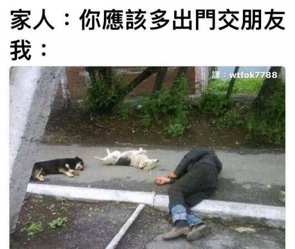 原创
每日爆笑囧图神评论大赏:该省省,该花花花花花花花花