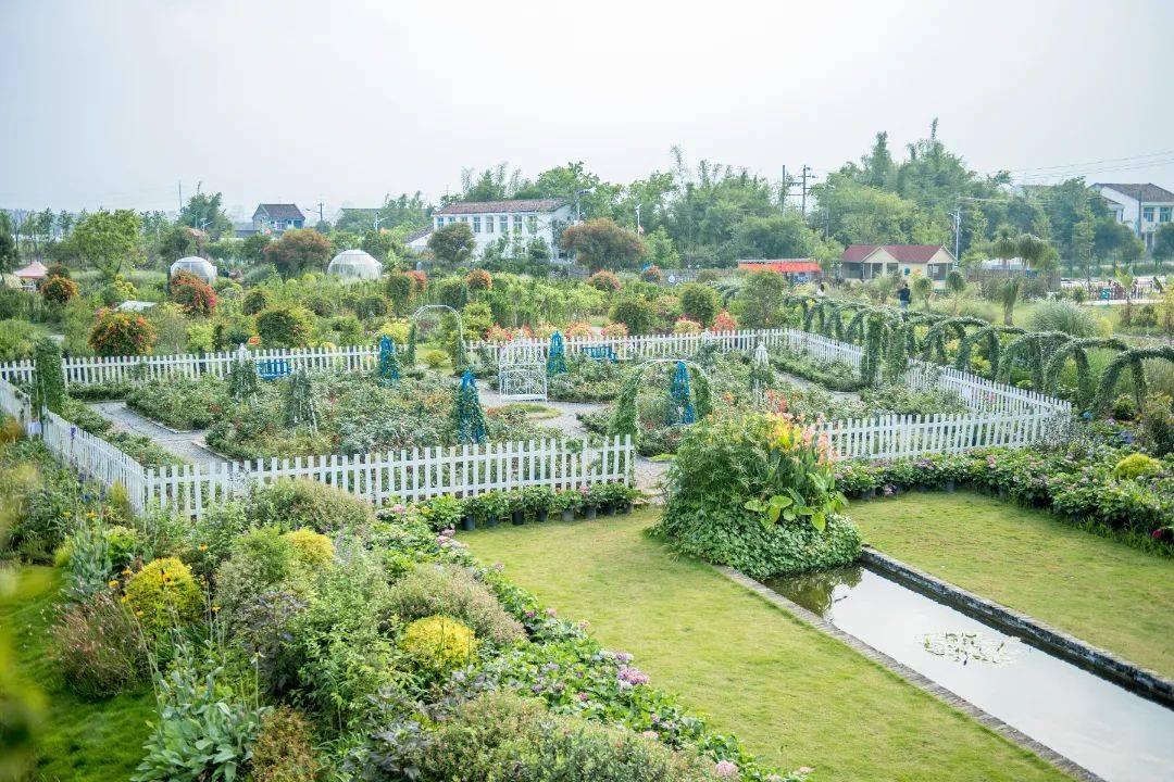 苍南"微改精提"邂逅灵溪莫凡花园_苍南县_乡村旅游_融合