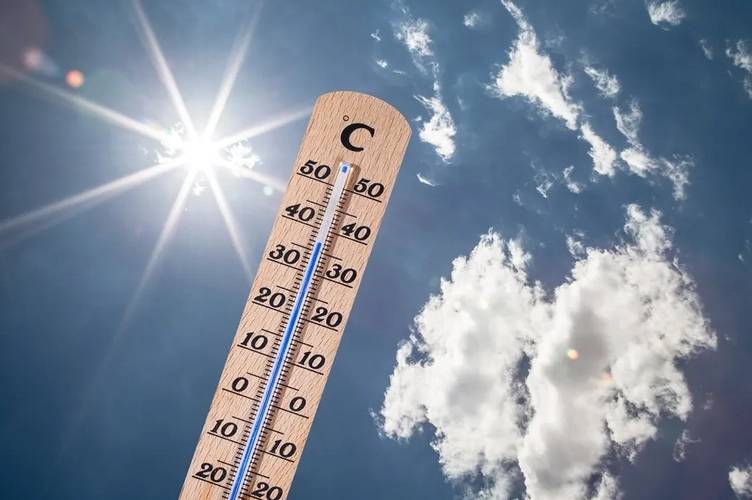 夏至|热！多地高温超40℃，盛夏来袭避暑养生很重要