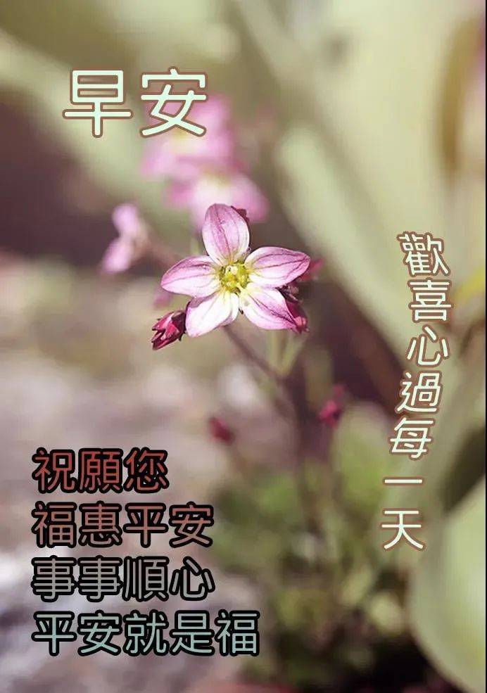 原创6月21日非常好看的夏至早安早上好图片夏至漂亮早上好祝福语图片