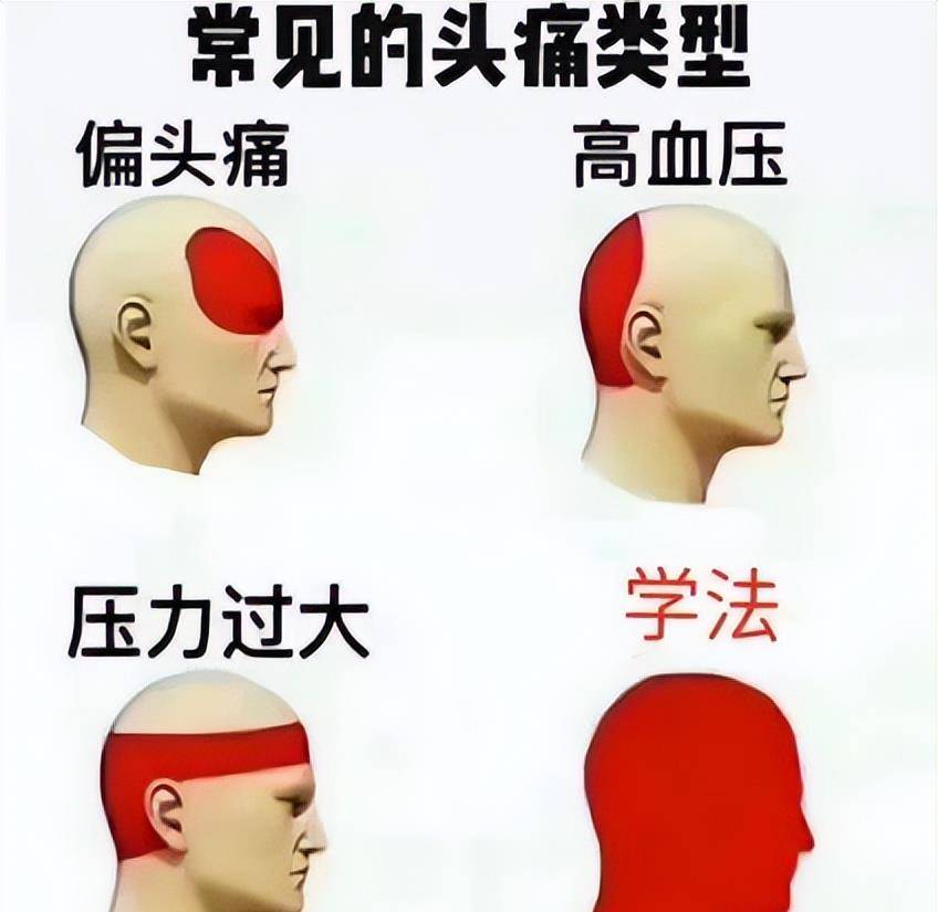 原创
把手趣谈 - 法律人专属表情包大合集,每张图都值得收藏