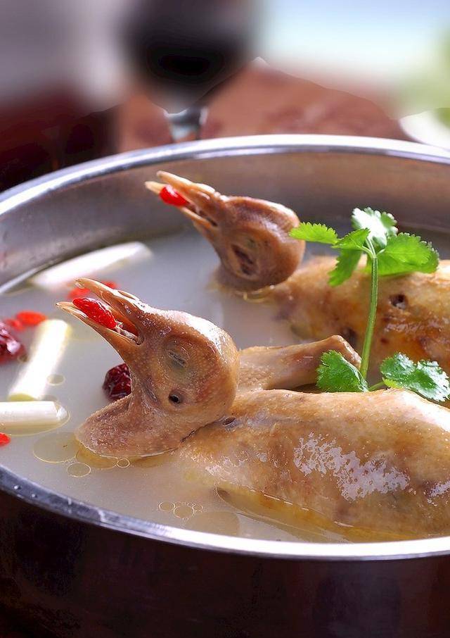 清炖鸽子汤,天麻鸽子汤家常煲汤做法教程_处理_食用_营养