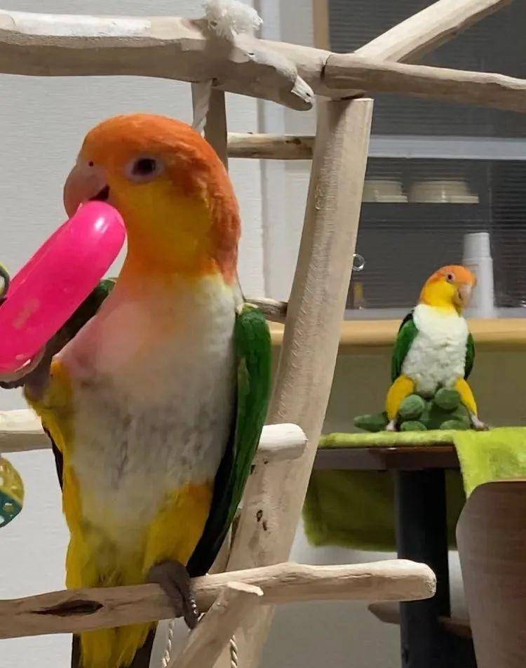 原创
千万!别随便!让男票拍纯欲风照片哈哈哈哈哈哈妈妈我害怕