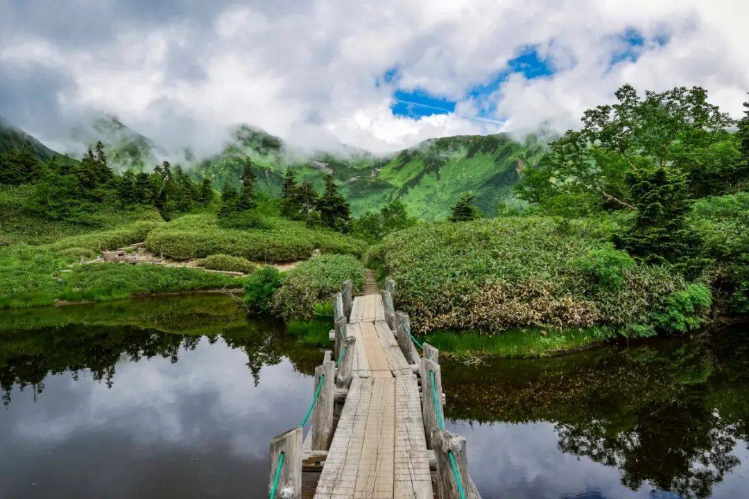 家电套购向套系全面升级,场景成为市场新引擎-家电圈官网