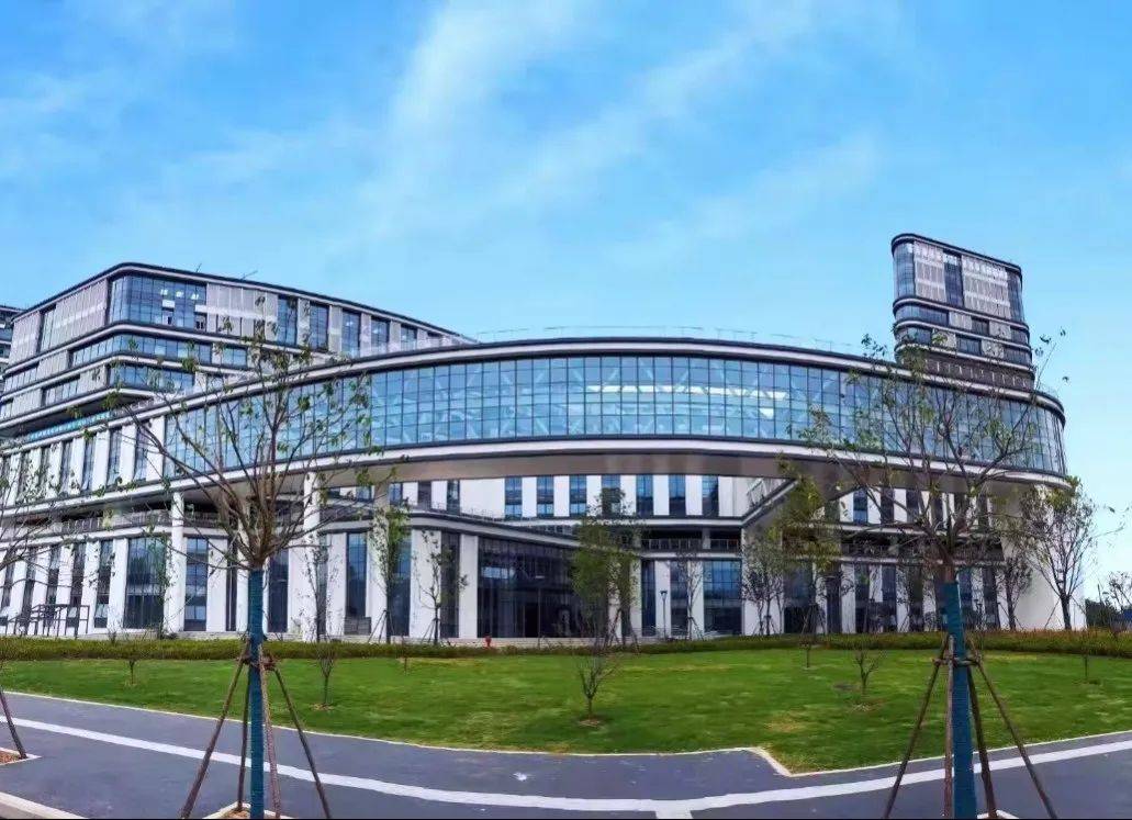 北京外国语大学合肥国际学院22国际本科项目