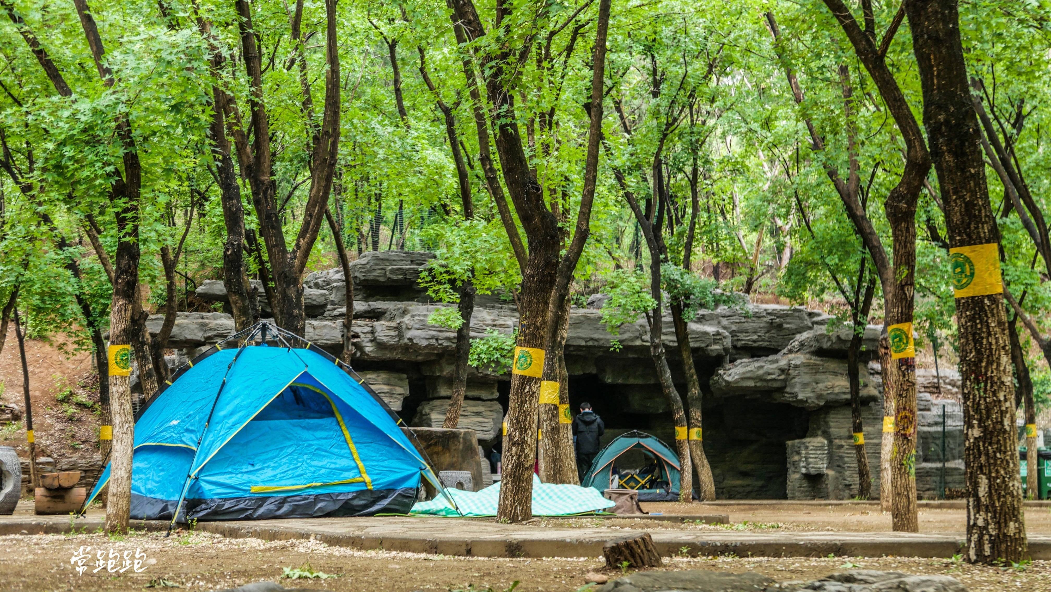 京西帐篷主题公园图片