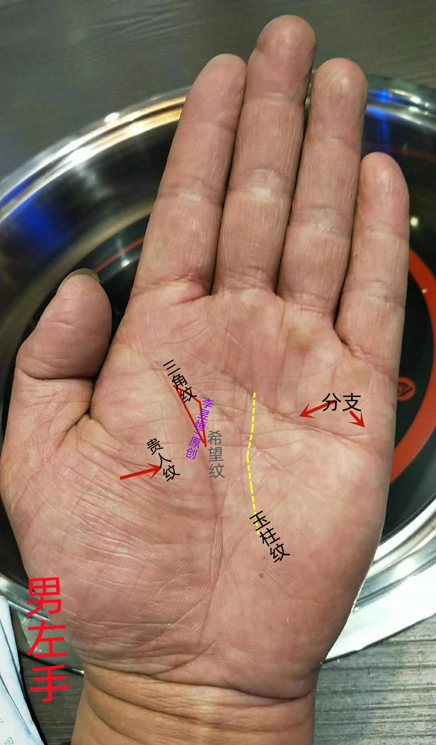 手相:婚姻沾花惹草,事业中晚运发福的特征_福主_方面_生命线