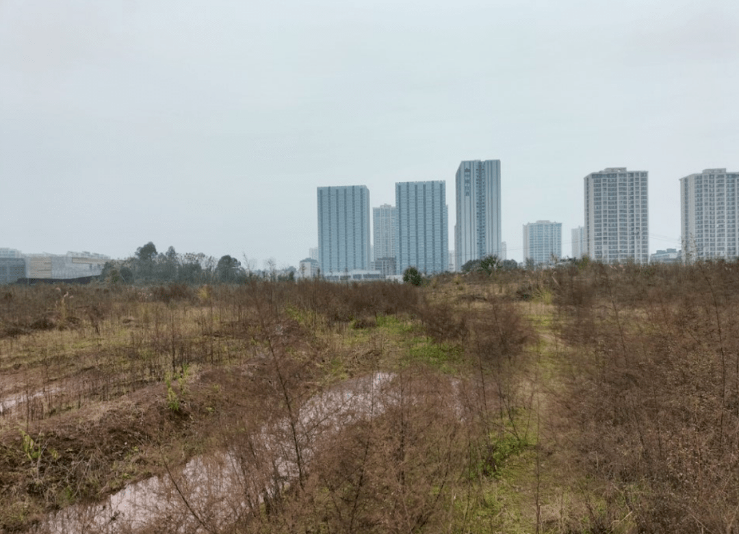 2022年重庆第2次土拍重点地块分析北碚蔡家曹家湾地块