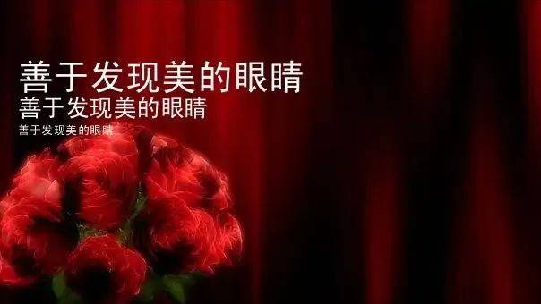 我们并不是缺乏发现美的眼睛，而是都隔着玻璃