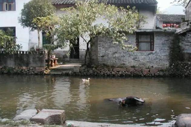 215亩！浙江这一古镇，生活着443户人家，至今保存着百年前的风貌