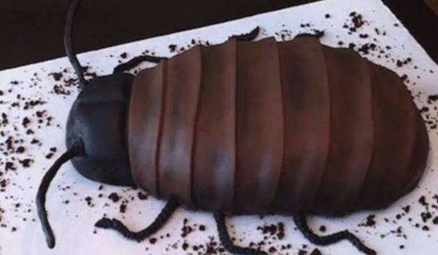 但得吃完4种蛋糕,图4男生下不了口_煤球_样子_蟑螂