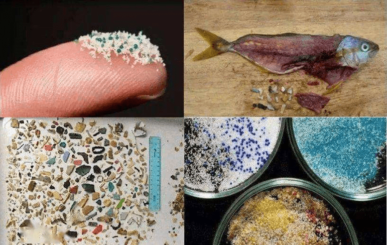 减少外卖包装垃圾污染,摆脱塑缚_塑料_餐盒_回收