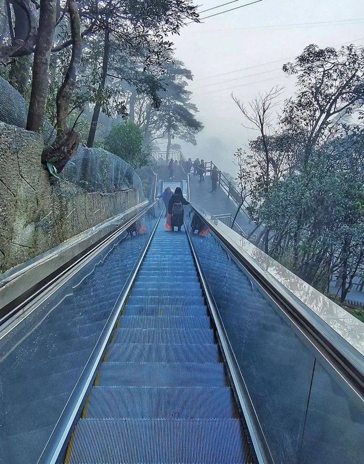 郴州旅游推荐莽山