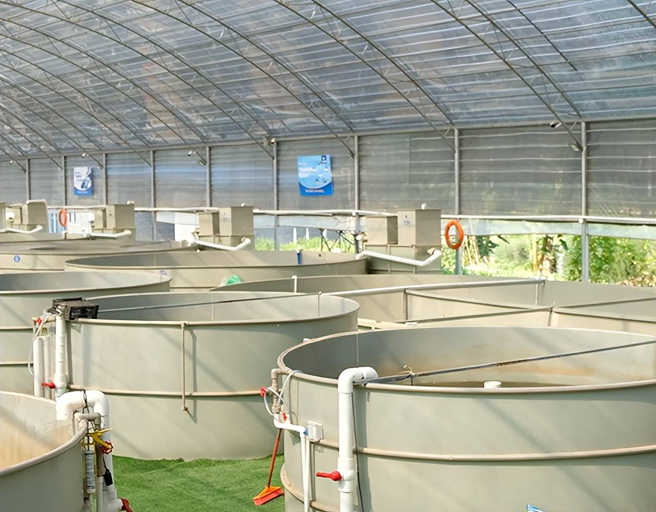 工业化循环水养殖并非绝对高大上小养殖户也可以投资