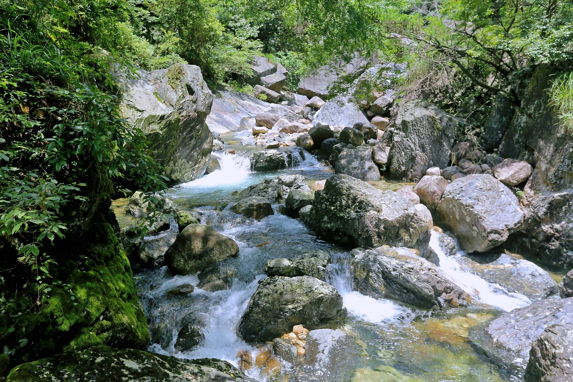 原創安徽黃山翡翠谷電影臥虎藏龍的取景地之一夏季避暑好去處