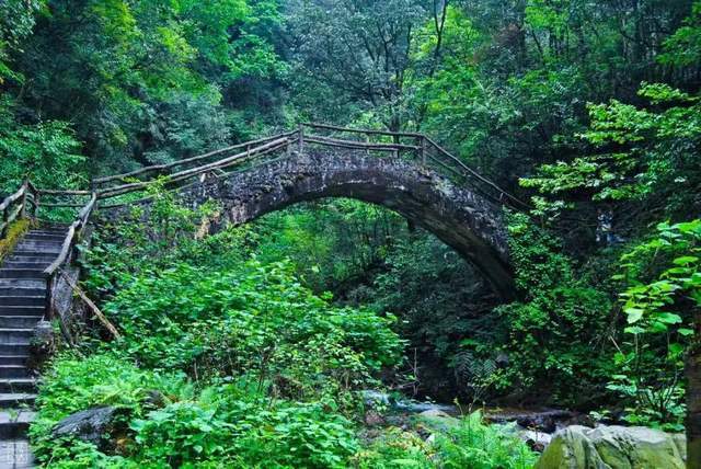 「西岭大飞水」飞泉流瀑，清幽秘境，过一个25℃的夏天