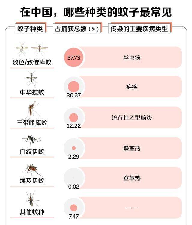 摇蚊_吸血_人类