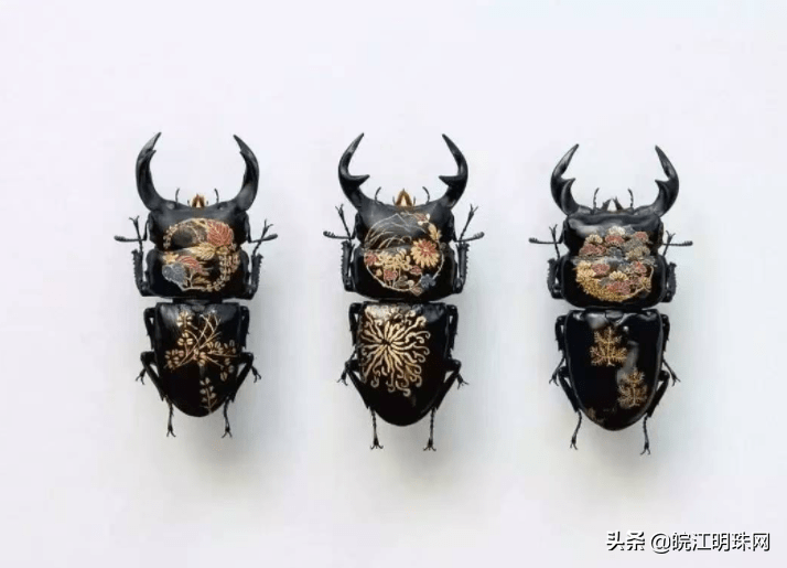 原创芜湖当昆虫遇到科技瞬间化身变形金刚