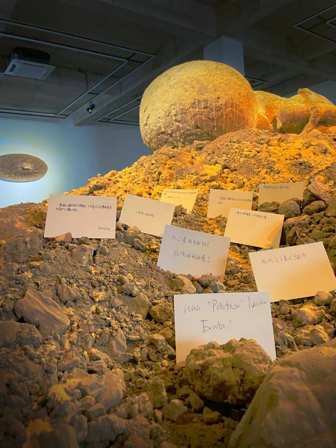 艺术家科普土壤生态艺术实验室中国土地日nationallandday