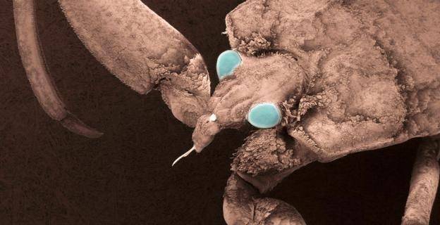 打开550万年前洞穴,科学家发现"外星世界",突破生命