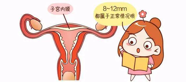 子宫内膜增厚b超图片