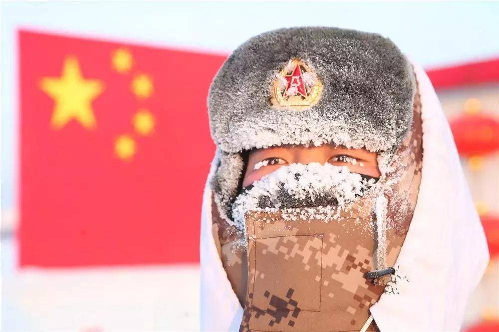 原创跨年夜狼群陪伴战士守边防网友直呼好可爱