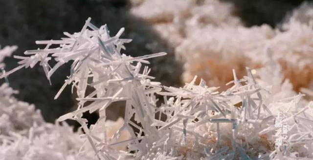 原创             纪录片《生命之盐》：一粒盐如何折射整个世界？