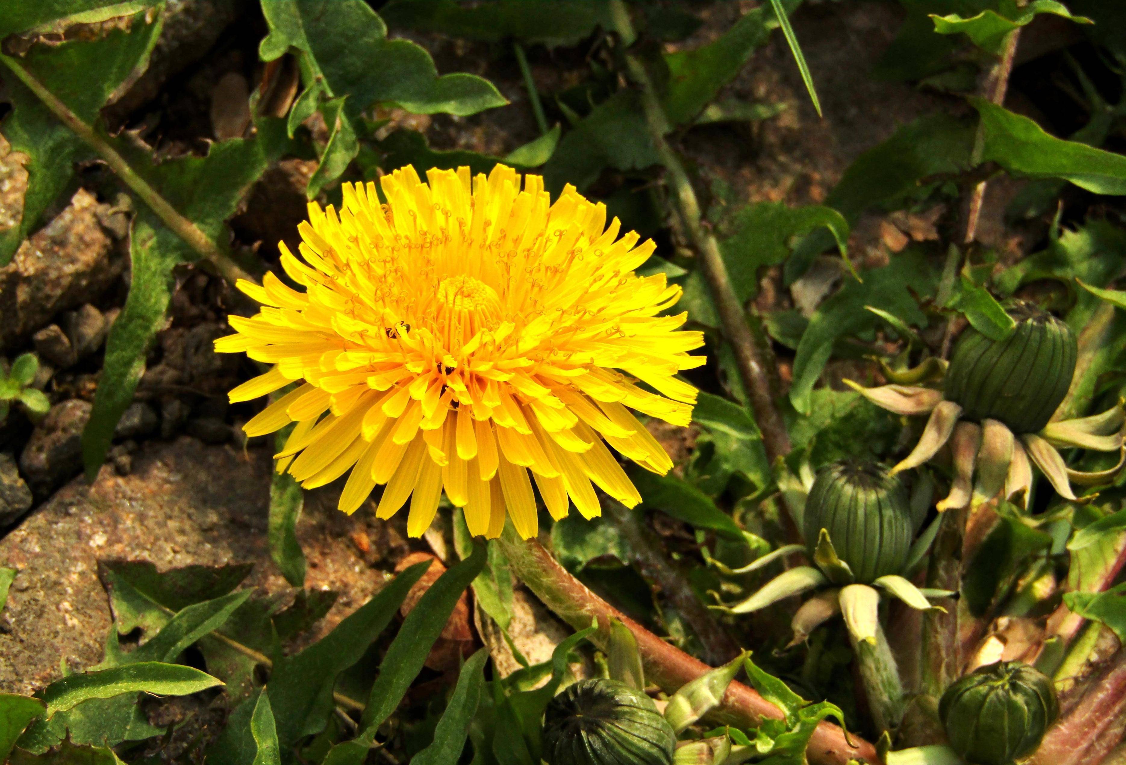6月30日星座运势 幸运加冕 配合默契的四大星座 感情 事业 时候