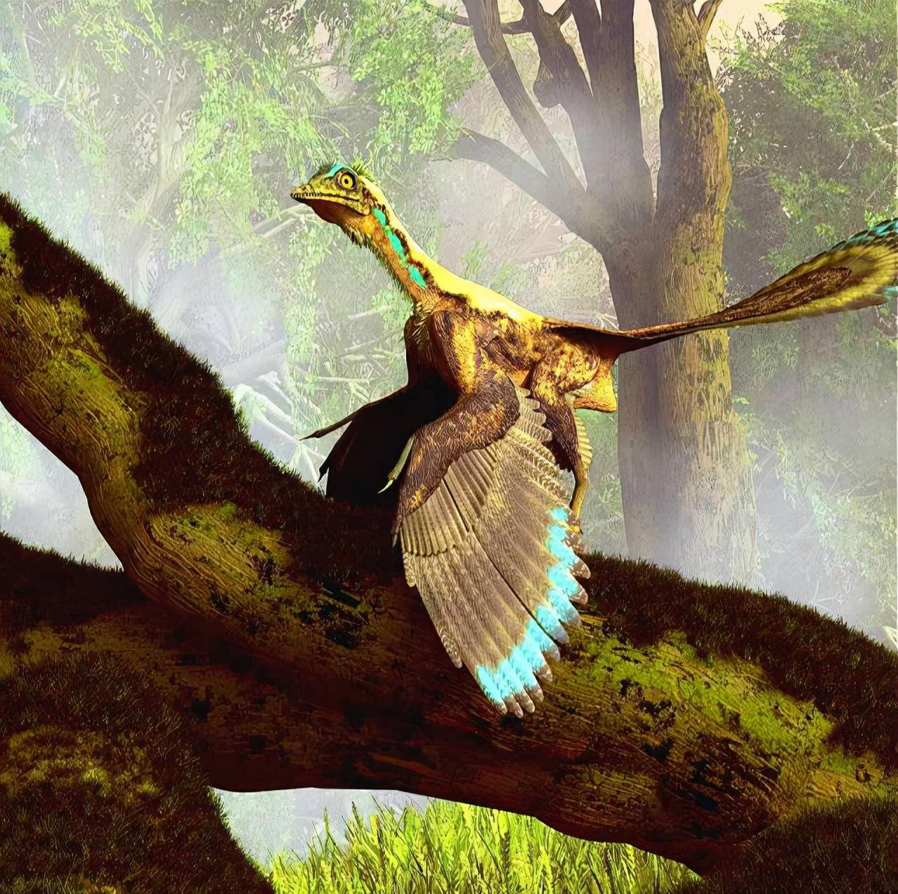 都這樣啊🤓, image size:1278x1272