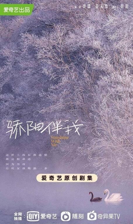 骄阳伴我什么时候播出