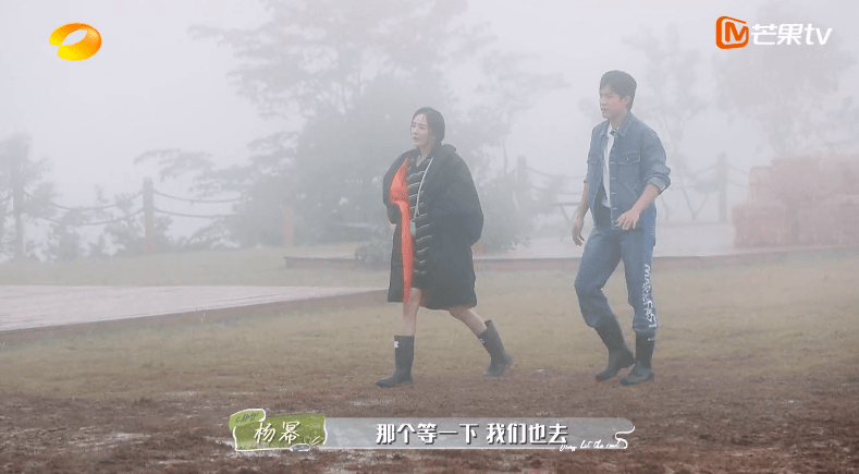 刘敏涛又闹情绪,观众的评论出奇一致