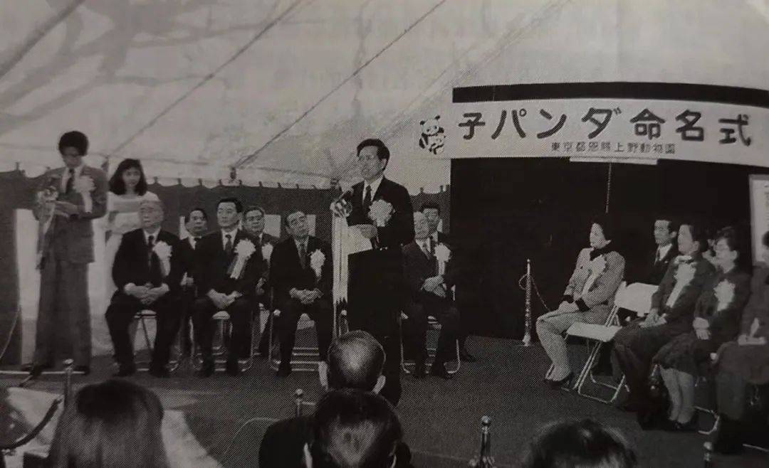 “动物友好使者”熊猫的故事_兰兰_上野_康康
