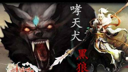 真相大揭秘 黑狼犬适合家养吗 黑狼狗镇宅辟邪吗 黑狗 东西 保平安