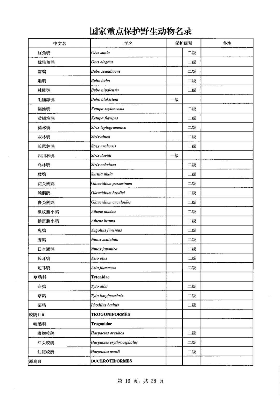 2022野生动物保护名录图片